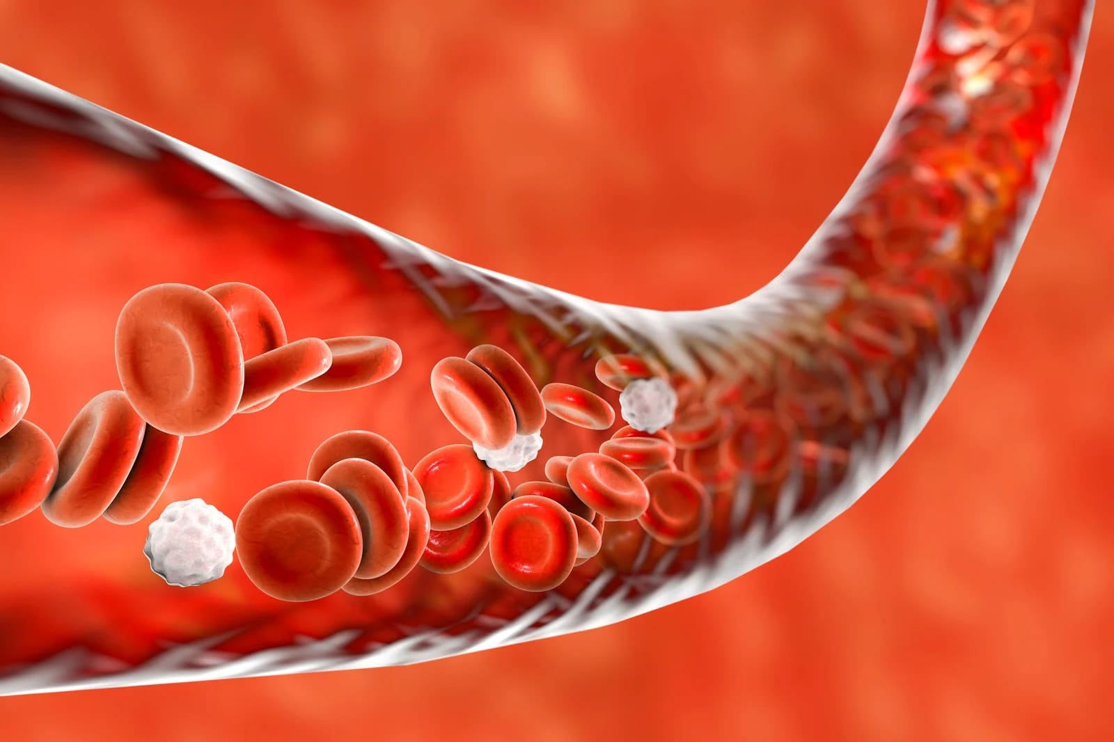 Niskie MCV przy prawidłowej hemoglobinie – co może oznaczać wynik i co omówić z lekarzem